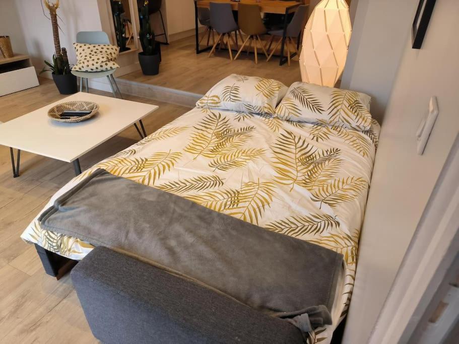 Avec Jardin Plein Sud Appartement